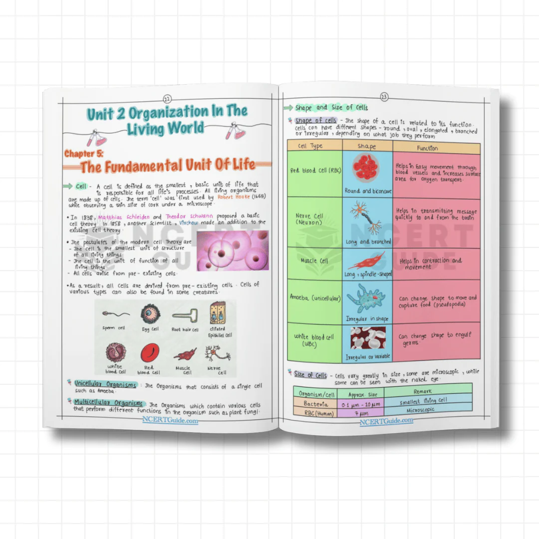 Class 9 Science Short Notes 2025-2026 - Image 3