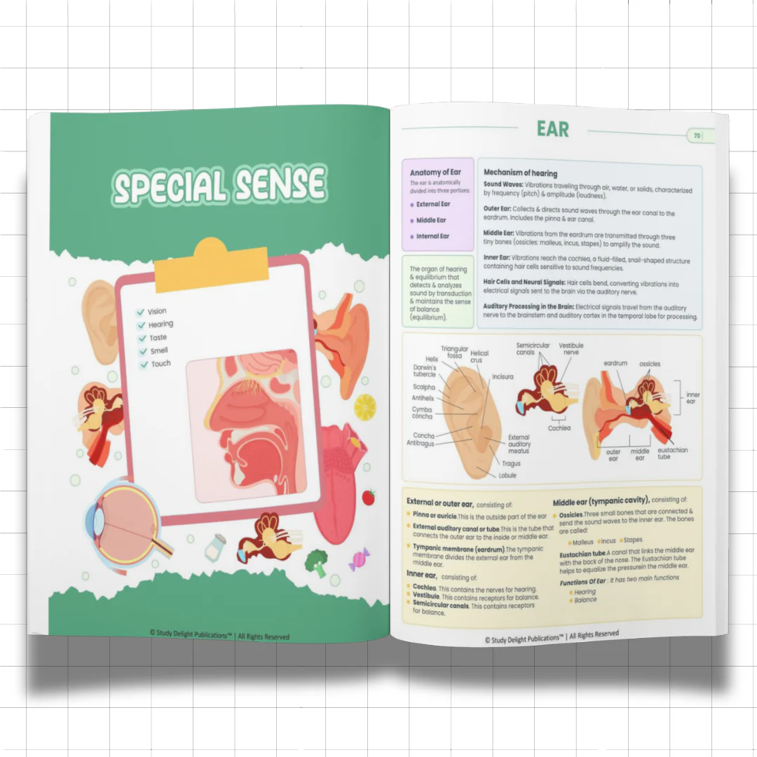 Nursing Mastery- All-in-One Visual Guide for Nursing Success - Image 4